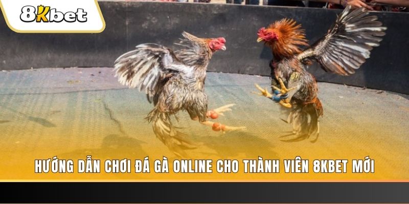 sv339 JILI Game Bài 3d
