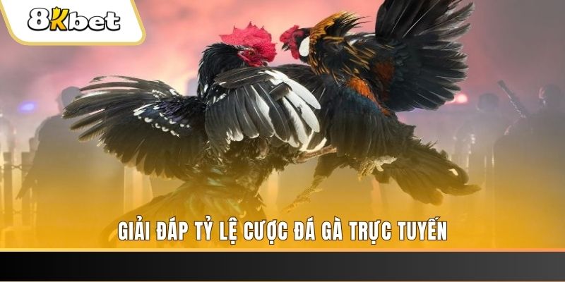 ga choi cau thanh